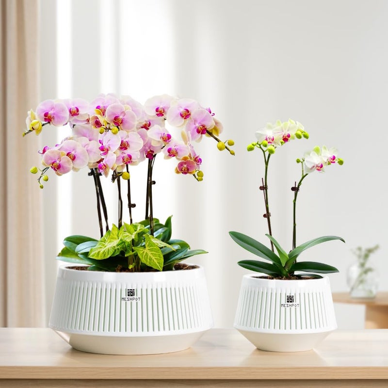 Meshpot 8 inch Orchid Pots with Holes for Repotting,Set of 1,Decorative African Violet Pots with Air-Pruning and Good Air Circulation,Plastic White Orchid Planter with Saucers - Image 2